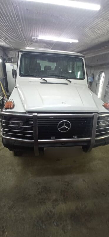 Mercedes-Benz: Mercedes-Benz G-Class: 1989 г., 3 л, Механика, Дизель, Внедорожник