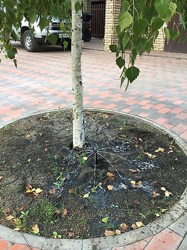 Теплицы: Теплицы — 4