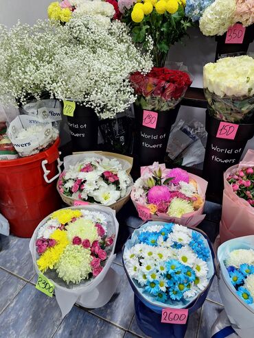 садовый измельчитель бишкек: Цветочные букеты и цветы Ассортимент: - Авторские букеты в упаковке