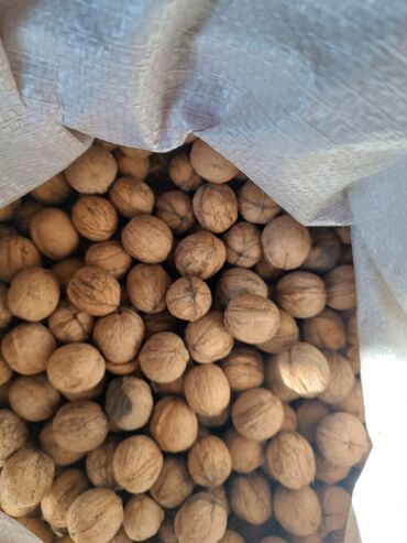 продаю дрова в мешках: Продаю грецкие орехи