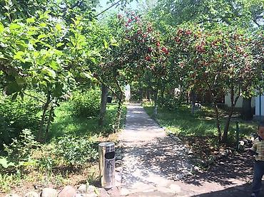 imarat resort: Дом (частный сектор), Чолпон-Ата, 3 места — 6
