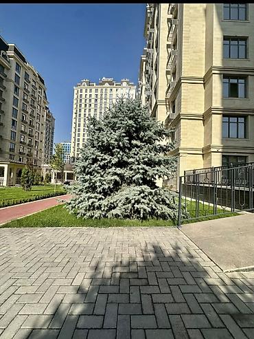 елисейкие поля: 1 комната, 48 м², Элитка, 8 этаж, ПСО (под самоотделку) — 7