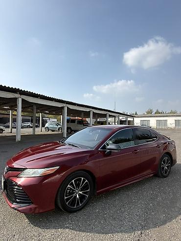 радар авто: Toyota Camry: 2018 г., 2.5 л, Автомат, Бензин, Седан — 2