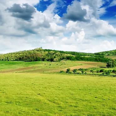 Недвижимость: 133 соток, Для сельского хозяйства, Красная книга — 1