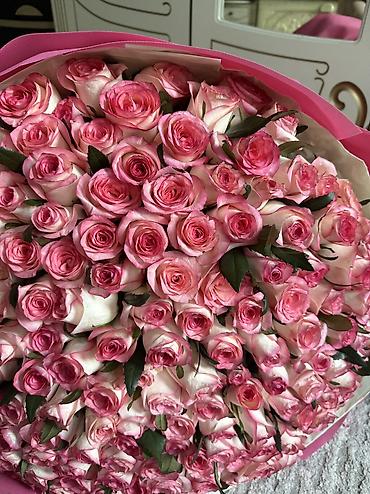 куплю розы: Продам:Пышный круглый букет из 151 роз двух оттенков розового — 1