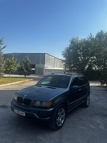 коробка газ 53: BMW X5: 2001 г., 4.4 л, Автомат, Бензин, Кроссовер — 7
