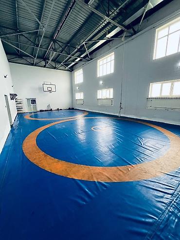 velo satışı: İdeal vəziyyətdə 140 kv tatami(güləş döşəyi) çox az istifadə olunmuş — 4