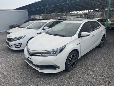 honba hr v: Toyota Corolla: 2019 г., 1.8 л, Гибрид