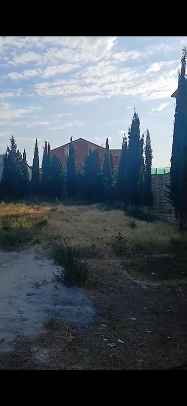şeki: 10800 sot, Bələdiyyə — 1