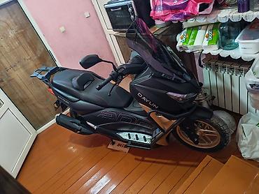 moped 200: - DMAX PRO 200, 200 sm3 — 3