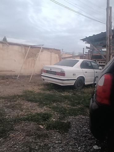 привода е34: BMW 5 series: 1989 г., 2 л, Механика, Седан — 1