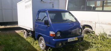 Легкий грузовой транспорт: Легкий грузовик, Hyundai, Стандарт, 3 т, Б/у