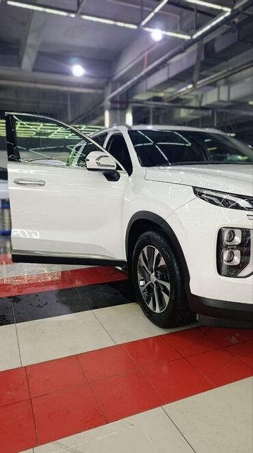 Hyundai: Hyundai Palisade: 2019 г., Кроссовер — 10