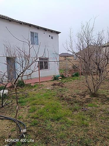 Xalçalar: Xalça Dekorativ — 24