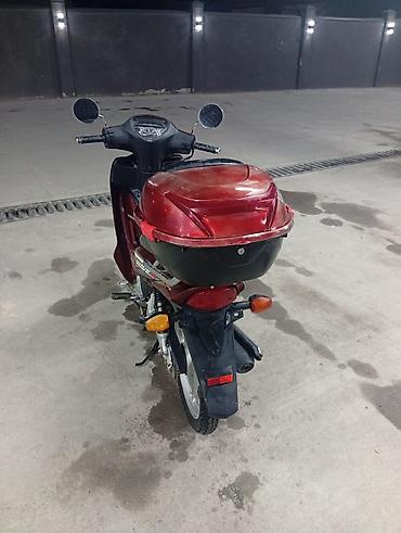 t max: Honda Wave — экономичный и практичный мопед (underbone) в бордовом — 5
