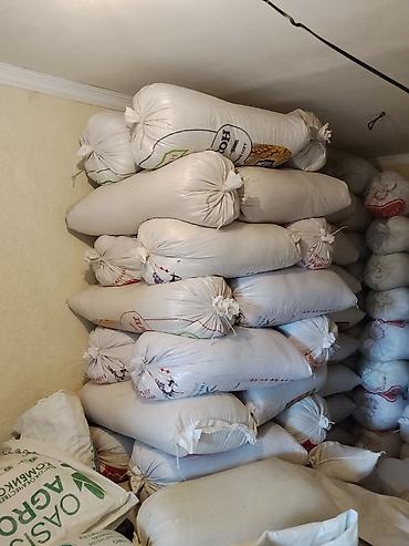 Кормовое зерно в мешках - Продукт: зерновые корма в расфасовке по