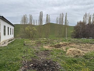 Продажа коттеджей и домов: Продаётся уютный дом площадью 100 м² с просторным участком 28 соток — — 9