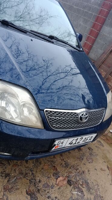 тойота королла хэтчбек: Toyota Corolla: 2003 г., 1.6 л, Механика, Бензин, Универсал