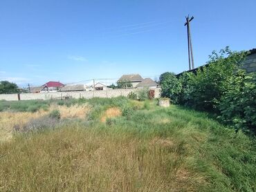 Torpaq sahələrinin satışı: 12 sot, Kupça (Çıxarış) — 7