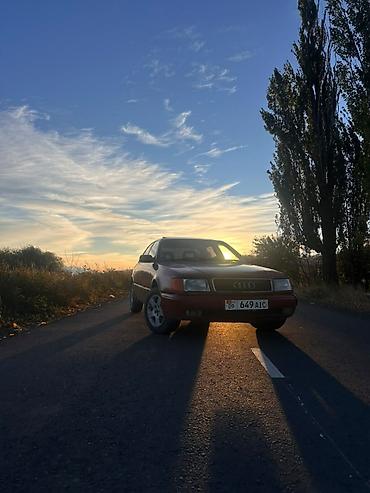 Audi: Audi 100: 1993 г., 2.3 л, Механика, Бензин, Седан — 2