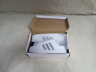 adidas super star: Кроссовки Adidas Superstar, размер 39 классическая модель. - Цвет — 1