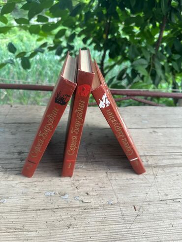 Художественная литература: Классика, На русском языке — 12