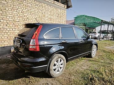 срв 2009: Honda CR-V: 2009 г., 2.4 л, Автомат, Бензин, Кроссовер — 4
