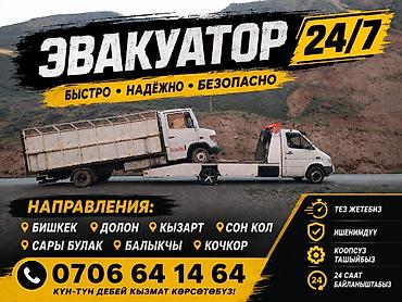 карышкыр фото: Кыймылдуу платформасы менен — 1