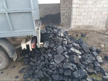 декоративный голубой ель: Уголь Кара-Кече, Самовывоз, Бесплатная доставка, В розницу, Фракция: Семечка (С), В мешках