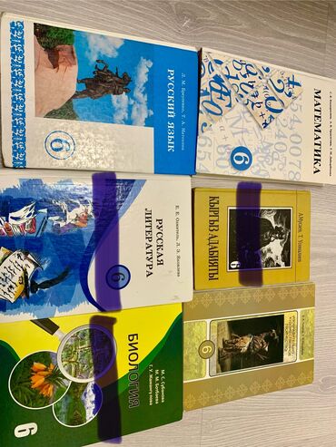 Другие книги и журналы: Книги за 6 класс Математика, русский язык,ихт по 300с за