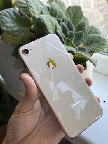 Apple iPhone: IPhone 8, Б/у, 64 ГБ, Золотой, Защитное стекло, Чехол, 76 %