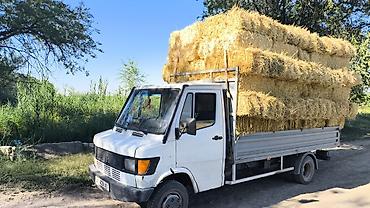 уаз 3033: Грузовик, Mercedes-Benz, Стандарт, 4 т, Б/у — 5
