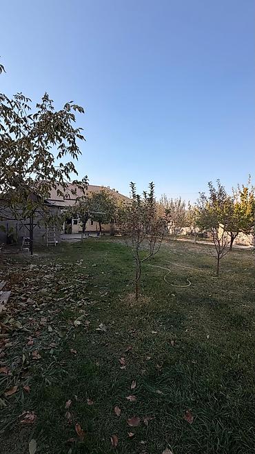арчалы: 5 комнат, 200 м², 8 соток, Бишкек, Киргизия 1 Собственник — 5