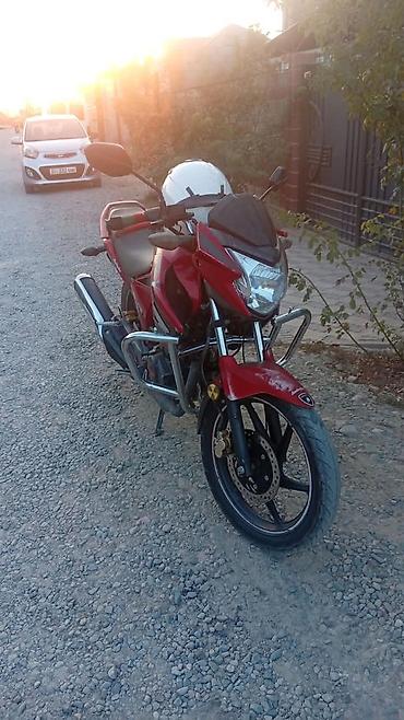 хонда истеп 1: Спортбайк Honda, 150 куб. см, Бензин, Чоңдор үчүн, Колдонулган — 1