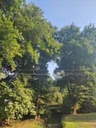 Kommersiya daşınmaz əmlakının satışı: Zaqatalada geniş həyətyanı sahəsi olan fərdi yaşayış evi - 2 — 16