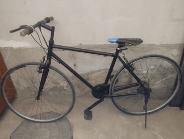 Городские велосипеды: Городской велосипед, Alton, Рама XL (180 - 195 см), Другой материал