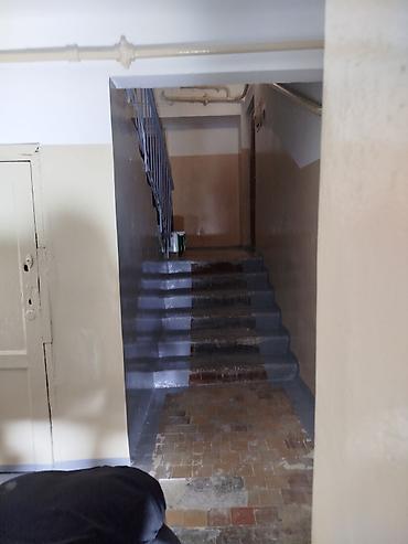 Покраска: Покраска подъездов и лестничных клеток под ключ Касметика Крыши — 3