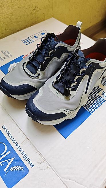 saucony g9 control: Кроссовки спортивные, мужские/унисекс. - Цвет: серо-сине-белый. - — 1