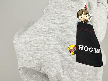 sweter harry potter: Harry Potter, Bluza damska
, rozmiar M — 6