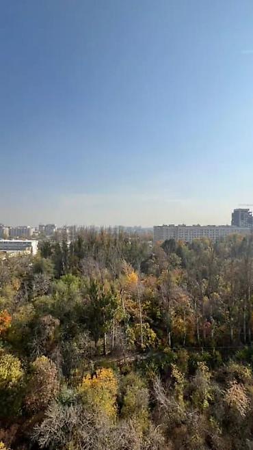 Долгосрочная аренда квартир: 3 комнаты, Собственник, Без подселения, С мебелью полностью — 4