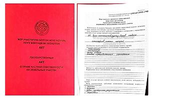 фрунзе панфилова: 5 соток, Для бизнеса, Красная книга — 2