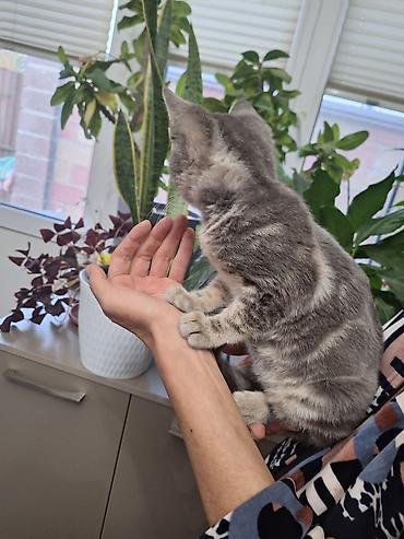катя петя: 3 месяца, Мальчик — 2