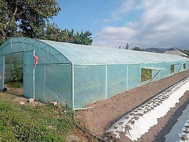 теплицы под ключ: Теплица туннельного типа 10×32 м, высота в коньке около 3 м — 6
