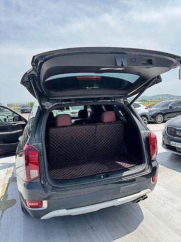 palisade: Hyundai Palisade: 2019 г., 2.2 л, Автомат, Дизель, Кроссовер — 10
