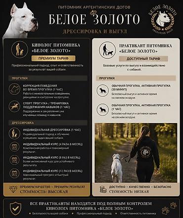 практиканты: 🐾 ПИТОМНИК АРГЕНТИНСКИХ ДОГОВ «БЕЛОЕ ЗОЛОТО» Профессиональный выгул и — 1