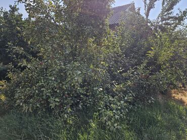 Продажа домов: Дом, 80 м², 4 комнаты, Собственник, Старый ремонт — 15