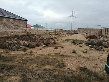 Torpaq: Kənd təsərrüfatı, Kupça (Çıxarış) — 8