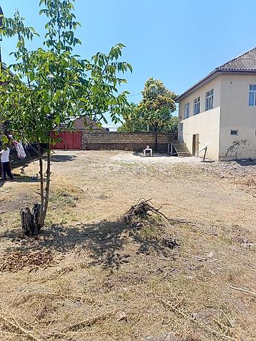 Torpaq sahələrinin satışı: Астара району Низами кучесинде Ев сатылат. 139 кв метр. Саhеси 7 сот -da lalafo.az — 7 Torpaq sahələrinin satışı: Астара району Низами кучесинде Ев сатылат. 139 кв метр. Саhеси 7 сот — 7