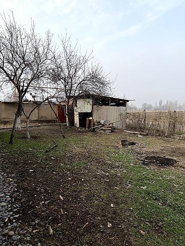 Продажа коттеджей и домов: 4 комнаты, 92 м², 10 соток, Селекционное — 4