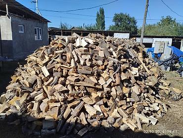 Дрова: Дрова — 1